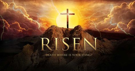 Easter Pictures Religious Easter Images Religious, Happy Easter Quotes Jesus Christ, Easter Images Jesus, Happy Easter Religious, Jesus Risen, Easter Bunny Images, Happy Easter Funny, Easter Bible Verses, Happy Easter Quotes