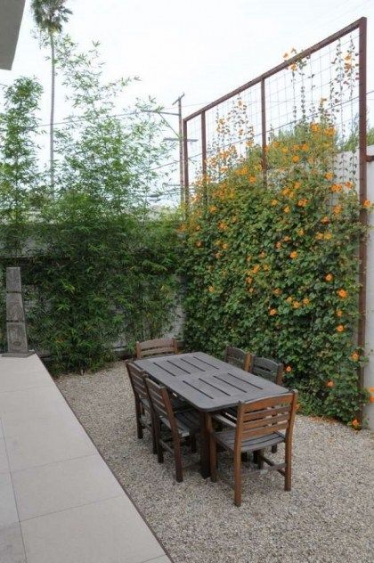 privacy fence screen ideas climbing plants garden wooden furniture Green Backyard Landscaping, Diy Privacy Fence, Budget Landscaping, Green Backyard, Garden Arch Trellis, Small Yard Landscaping, Privacy Landscaping, Cheap Backyard, Backyard Plants