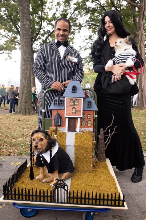 13 Things I Found on the Internet Today (Vol. DLXXIV) Dog Parade, Halloween Dogs, Pet Parade, Christmas Parade, Woody Toy Story, Halloween Dog, Dog Halloween Costumes, Dog Costumes, Two Dogs