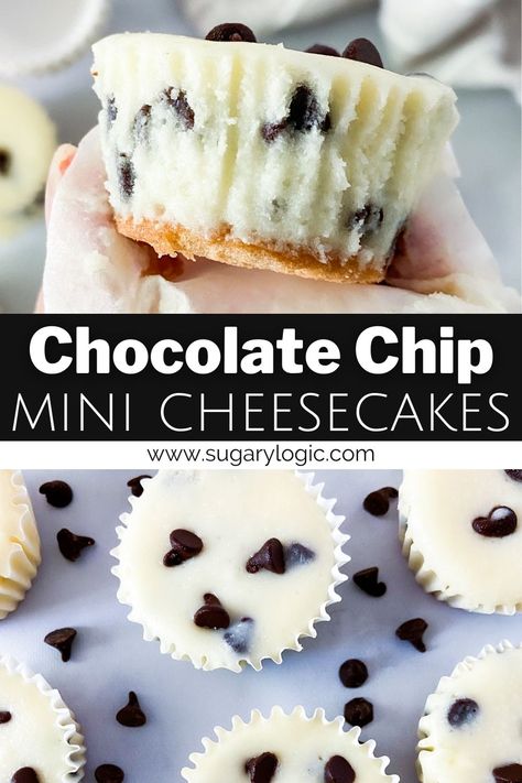 Cheesecake Cupcakes With Vanilla Wafers, Chocolate Chip Cheesecake Cupcakes, Mini Cheesecake Recipes Nilla Wafers, Mini Chocolate Chip Cheesecake Recipes, Chocolate Chip Cheesecake Bites, Nilla Wafer Cheesecake Cupcakes, Mini Chocolate Chip Cheesecakes, Chocolate Chip Cheesecake Recipes Easy, Vanilla Wafer Cheesecake Bites