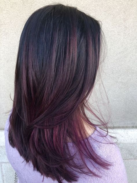 Plum Hair Color Highlights, Black With Violet Highlights, Plum Hair Highlights, Wine Red Hair Color, Plum Hair Color, Cola Hair, Cherry Cola Hair, Purple Hair Highlights, Balayage Straight Hair