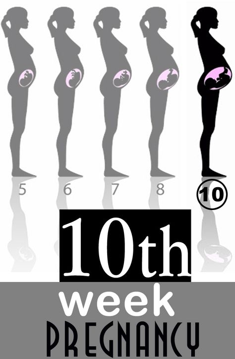 Congratulations!You are now 10 weeks pregnant, this week 10 is a busy one & marks the start of the embryonic period. Read more about your baby's development 10 Weeks Baby Bump, 10 Weeks Pregnant Bump, Week 10 Pregnancy, 10 Week Baby Bump, 10 Week Pregnancy, 10 Weeks Pregnant Symptoms, 10 Weeks Pregnant Belly, Bump Progression, Baby Bump Progression