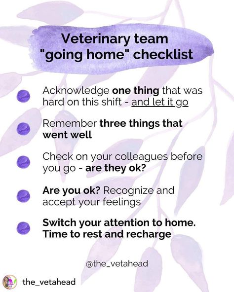 Veterinary Staff Games, Veterinary Decor, Veterinary Management, Veterinarian Quotes, Veterinary Technician Week, Vet School Motivation, Vet Humor, Veterinarian Technician, Vet Tech School