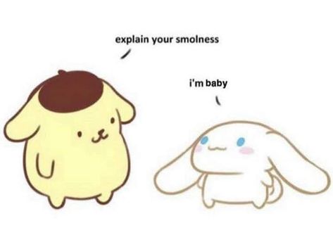 Sanrio Memes, Sanrio Stuff, Cute Messages, Cute Memes, Reaction Memes, Cinnamon Roll, Sanrio Characters, Reaction Pics, My Melody