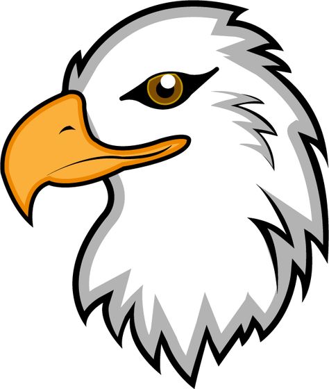 Line Drawing Images, Eagle Clipart, Eagle Cartoon, Head Clipart, Hawk Logo, Bird Cookies, Eagle Drawing, Eagle Mascot, Logo Clipart