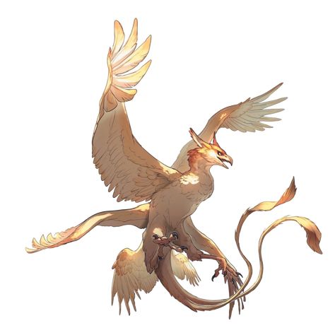 Fantasy Bird Concept Art, Griffin Concept Art, Griffon Art, Griffin Art Mythical, Griffin Mythical, Griffin Art, Fantasy Bird, Mythical Bird, Dragon Poses