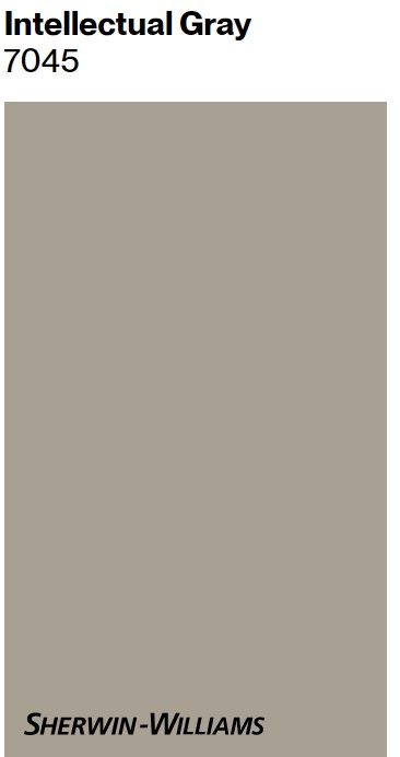 Intellectual Gray (Sherwin Williams) paint color swatch. Dover Gray Sherwin Williams, Link Gray Sherwin Williams Exterior, Link Grey Sherwin Williams, Intellectual Gray Sherwin Williams, Cliff Forest, Benjamin Moore China White, House Frontage, Gray Sherwin Williams, White Exterior Paint Colors