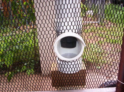 waterproof pvc feeder- through the fence Pvc Feeder, Chicken Feeder Ideas, Chickens Breeds, Pet Chickens Breeds, Pvc Chicken Feeder, Modern Bird Feeders, Bird Feeder Stands, Chicken Feeder Diy, Rabbit Stuff