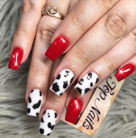 Cow Print Nails With Red, Red Nails With Cow Print, Red Western Nails Acrylic, Cow Print Christmas Nails, Red And Cow Print Nails, Christmas Cow Print Nails, Red Country Nails, Red Cow Nails, Fall Cow Print Nails