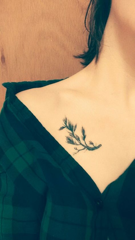 Pine tree tattoo Spruce Tattoo Branch, Pine Tattoo, Tat Inspiration, Pine Tree Art, Pine Tree Tattoo, Branch Tattoo, Wildflower Tattoo, Spruce Tree, Pine Branch