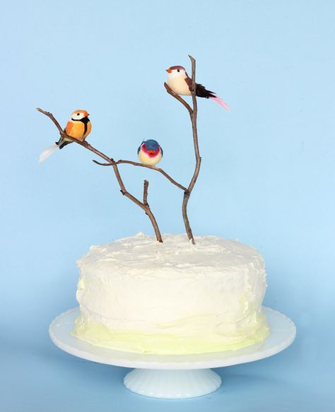 Spring Colorful Bird & Branch DIY Cake by The Sweet Escape | I bought these little faux feathered friends at a dollar store Cake Bird Theme, Bird Themed Birthday Cake, Three As A Bird Birthday, Birds Birthday Theme, Bird Cakes Birthday, Birthday Bird Theme, Bird Cake Ideas, Bird Party Theme, Bird Theme Cake