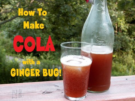 Ginger Bug Soda, Homemade Cola, Fermentation Station, Cola Recipe, Making Drinks, Fermented Drinks, Ginger Bug, Lacto Fermented, Farming Ideas