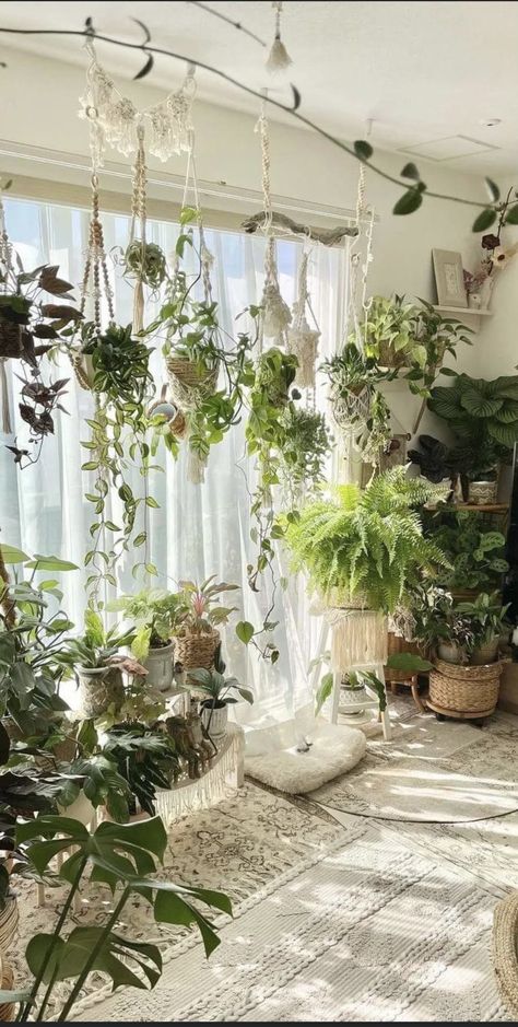 Room For Plants, Inside House Plants, Bedroom Plants Decor, Hanging Indoor Plants, Green Room Decor, Home Library Design, Bedroom Plants, Plant Decor Indoor, House Plants Decor