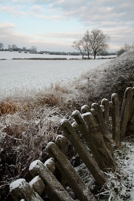 British Winter, Leicester England, Snow Falls, Winter Landscapes, Winter's Tale, I Love Winter, British Countryside, Winter Scenery, Winter Beauty