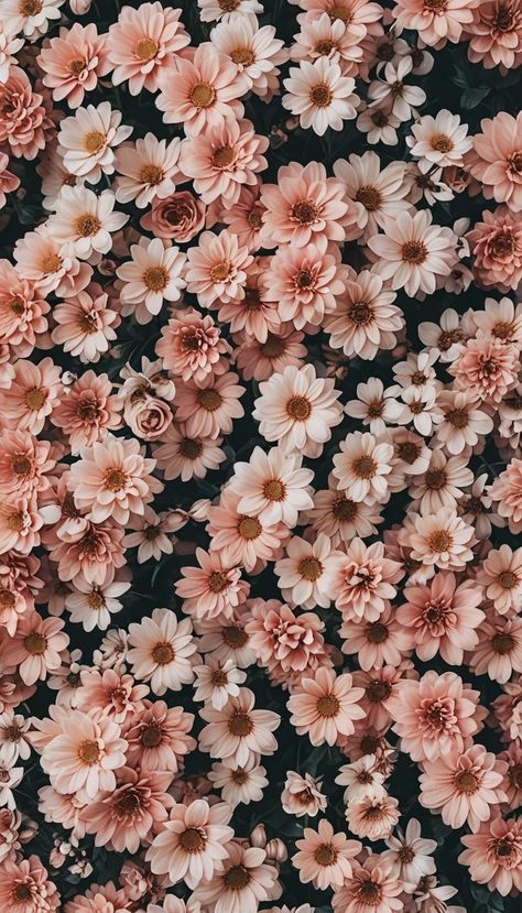 Winter Flower Wallpaper, Winter Flowers Wallpaper, Flowers Lockscreen, Natural Beauty Photography, Vintage Flowers Wallpaper, Flowery Wallpaper, Easy Doodles Drawings, Flower Background Wallpaper, Winter Wallpaper