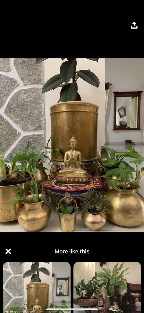 Brass Planters Ideas, Brass Planters, Indoor Plant Display, Brass Pot, Brass Planter, Decorative Planters, Cache Pot, Home N Decor, Indoor Plants