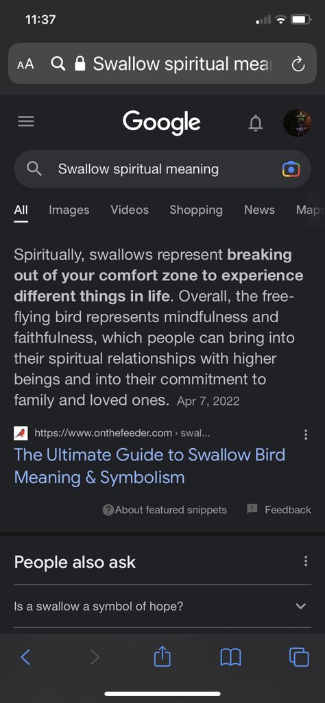 Swallow Spiritual Meaning, The Swallow Tattoo, Swallow Bird Meaning, Swallow Meaning, Swallow Bird Tattoo Meaning, Swallow Symbolism, Swallow Quotes, Swallow Bird Tattoos, Mack Attack