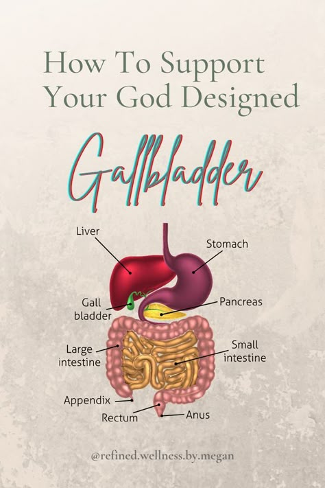 Causes Of Gallbladder Stones, Gaul Bladder Diet, Gallbladder Healing Diet, Gall Bladder Flush, Holistic Healing Gallbladder, Gallbladder Relief Remedies, Supplements For Gallbladder Health, Gull Bladder Cleanse, Chinese Medicine Gallbladder