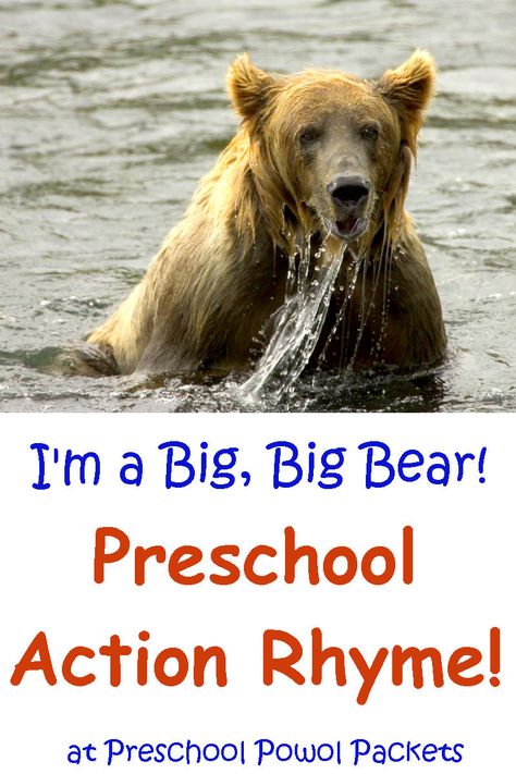 Fun action rhyme for preschoolers! Rhyming is an important pre-reading skill, and this will get your kids moving at the same time! Perfect for a filler song or activity, or bears, forest, or Letter B themes! Bears For Preschoolers, Bear Theme Preschool, Preschool Letter B, Hibernation Preschool, Letter B Activities, Bear Activities, Rhyming Preschool, Bears Preschool, Hair Pull