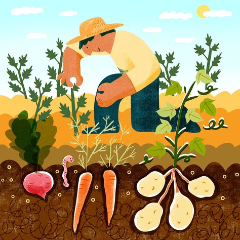 Vegetable Farming Illustration - Yoko Baum is a freelance illustrator based in Portland, Oregon who specializes food and drink, lifestyle illustration in editorial, advertising and branding industries.Yoko Baum is a freelance illustrator based in Portland, Oregon who specializes food and drink, lifestyle illustration in editorial, advertising and branding industries. Farming Illustration, Editorial Advertising, Vegetable Farming, Lifestyle Illustration, Freelance Illustrator, Portland Oregon, Portland, Oregon, Food And Drink