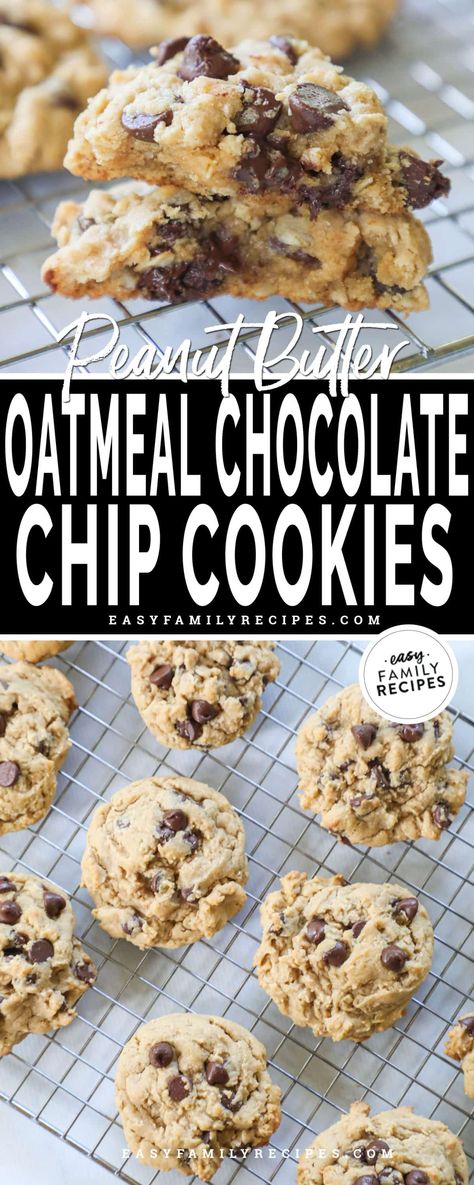 Peanut Butter Oatmeal Chocolate Chip Cookies · Easy Family Recipes Chewy Oatmeal Peanut Butter Cookies, Cookies With Oatmeal And Peanut Butter, Oatmeal Chocolate Chip Cookie Recipe With Quick Oats Peanut Butter, 5 Ingredient Peanut Butter Oatmeal Chocolate Chip Cookies, Crunchy Peanut Butter Oatmeal Cookies, Chocolate Chip Oatmeal Peanut Butter Cookies, Oatmeal Peanut Butter Chocolate Chip Cookies Healthy, Oatmeal Peanut Butter Chocolate Chip Cookie Recipe, Big Fat Peanut Butter Oatmeal Chocolate Chip Cookies