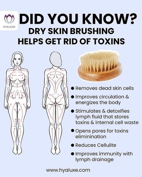 Mother Nature Heals on Instagram: "Comment below whether or not you dry brush 🥰 Medium bristles are best for legs and bum while softer bristles are usually more accommodating to the more sensitive belly skin 😁 Follow us @naturethecure for tips like this every day 🙏 Follow our new page @betterremedies for natural remedies 🌱🙏 Cr: @hyaluxe 🙏👍 Please DM for credit or removal" Dry Skin Brushing, Lymph Drainage Massage, Dry Brushing Skin, Drainage Massage, Lymph Massage, Lymph System, Lymph Drainage, Dry Body Brushing, Skin Brushing