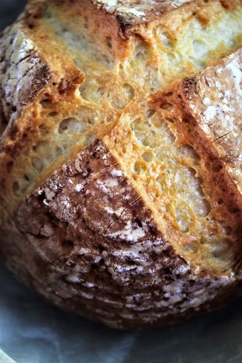 How To Make Gluten Free Sourdough Bread, Gf Artisan Bread, Best Gluten Free Sourdough Bread Recipe, Gluten Free Sour Dough Bread Recipe, Sourdough Gluten Free Bread, Gluten Free Artisan Bread Recipe, Gf Sourdough Recipes, Gluten Free Sourdough Recipes, Gf Sourdough Bread