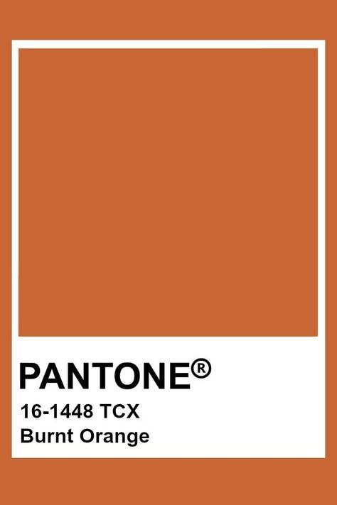 Pantone Orange, Pantone Tcx, Deco Orange, Pantone Swatches, Pantone Palette, Pantone Colour Palettes, Color Chip, Orange Aesthetic, Burnt Orange Color