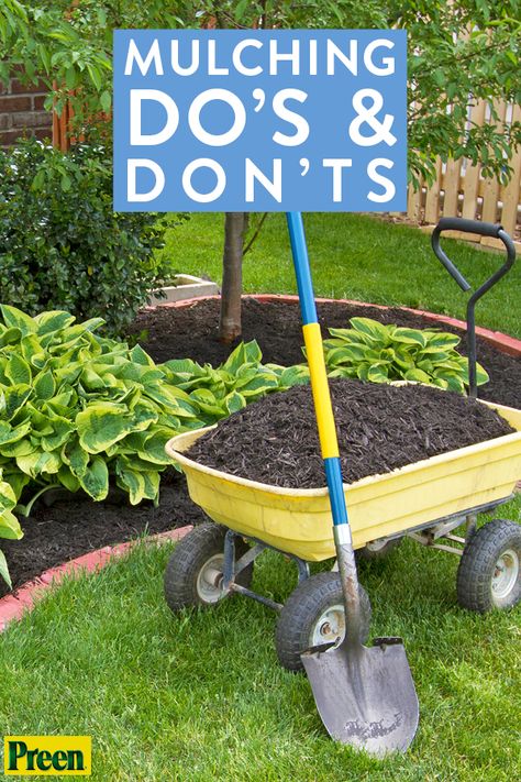 Mulching Ideas Front Yard, How To Add Mulch Flower Beds, How To Plant Flowers In Mulch, Black Mulch Around Tree, How To Mulch Landscaping, Mulched Front Yard, Flower Bed Mulch Ideas, Landscape Mulch Ideas, Laying Mulch Tips