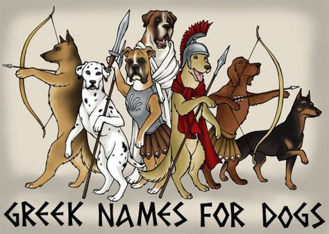 Is there a secret to naming dogs? The pantheon of Greek heroes, gods, and monsters offers many interesting and unique names for male dogs; learn their stories and tips for choosing the perfect name. Names For Male Dogs, Cool Dog Names, Male Dog Names Unique, Cute Puppy Names, Dog Names Unique, Gods And Monsters, Female Dog Names, Best Dog Names, Cute Names For Dogs