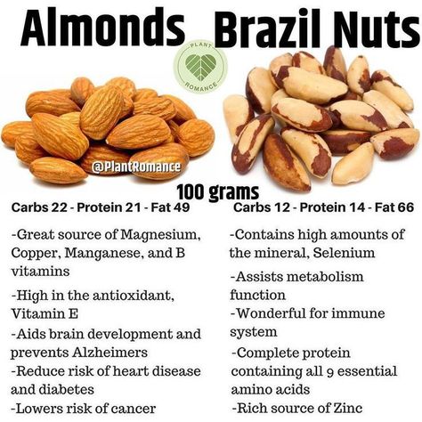 Grow Almonds, Walnuts Benefits, Brazil Nuts Benefits, Nuts Health Benefits, Nuts Nutrition, Nut Benefits, Benefits Of Almonds, Nut Trees, Healthy Nuts