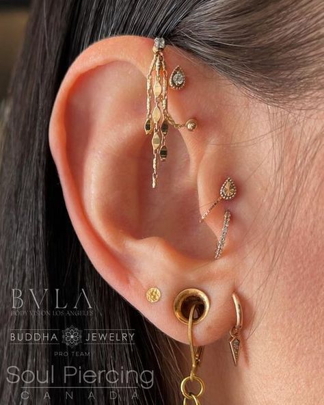 Stretch Lobe Piercing, Earrings With Gauges, Pre Lobe Piercing, Piercings With Chains, Traverse Lobe Piercing, Lower Lobe Piercing, Gold Ear Gauges, Forward Helix Chain, Pretty Jewellery Earrings