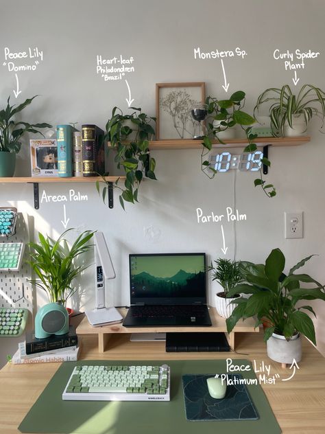 Dorm Desk Plants, Brown Wood Desk Decor, Desk Ideas Plants, Small Desk Area Organization, Desk Decor Plants, Earth Tone Desk, Desk Green Aesthetic, Save Green Bedroom Aesthetic, Desk Shelving Ideas