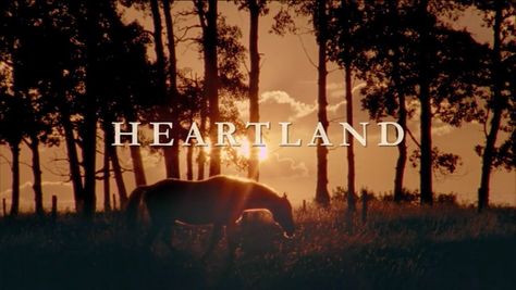 Heartland! Heart Land, Heartland Seasons, Heartland, Horses, Wallpapers