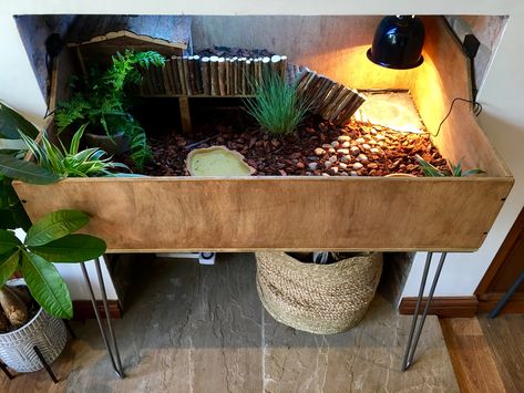 Tortoise Cage Ideas Indoor, Raised Garden Bed For Tortoise, Leopard Tortoise Habitat Indoor, Greek Tortoise Habitat Indoor, Indoor Tortoise Habitat, Tortoise Terrarium Indoor, Tortoise Table Ideas, Baby Tortoise Habitat Indoor, Box Turtle Habitat Indoor Diy