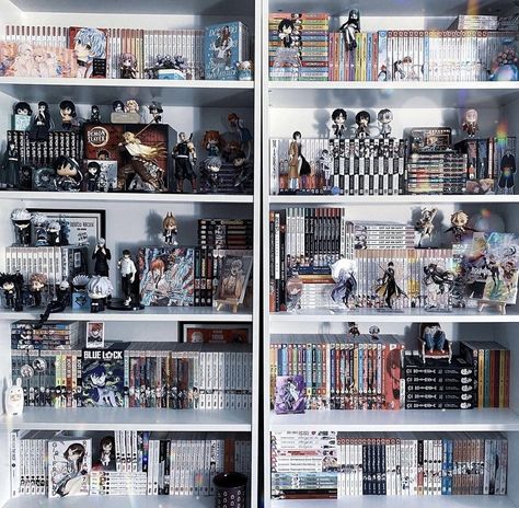 Shelf Collection Display, Manga Shelf Inspiration, Manga Shelves Aesthetic, Manga Shelf Ideas, Magical Bookstore, Manga Shelving, Manga Library, Manga Shelves, Manga Room