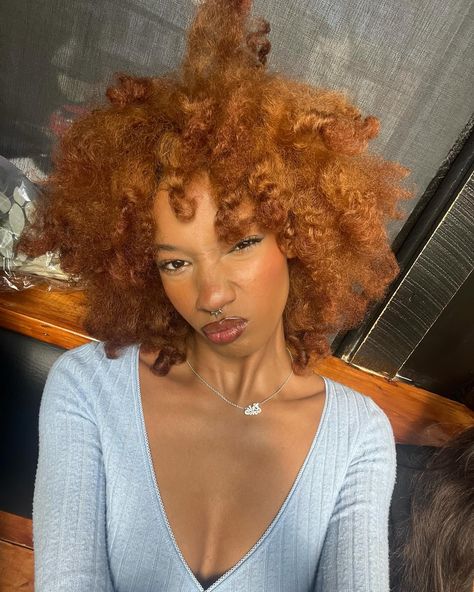 Ginger Afro Black Women, Ginger 4c Natural Hair, Dyed 4c Hair, Moon Moodboard, Straight Wavy Hair, Hair Canvas, Ginger Hair Color, Curly Hair Types, Dyed Natural Hair