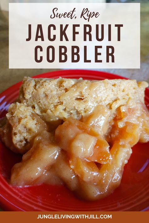 A tropical twist on the American favorite of cobbler… made with sweet (ripe) jackfruit!

This version can be made using either fresh or canned ripe jackfruit and prepared in the slow cooker or stove top/oven.  

#jackfruitrecipes #ripejackfruit #tropicalfruits #cobblerrecipes Fresh Jackfruit Recipes, Jackfruit Dessert Recipes, Ripe Jackfruit, Canned Jackfruit, Stove Top Oven, Jackfruit Recipes, Tropical Twist, Ripe Fruit, Food Projects