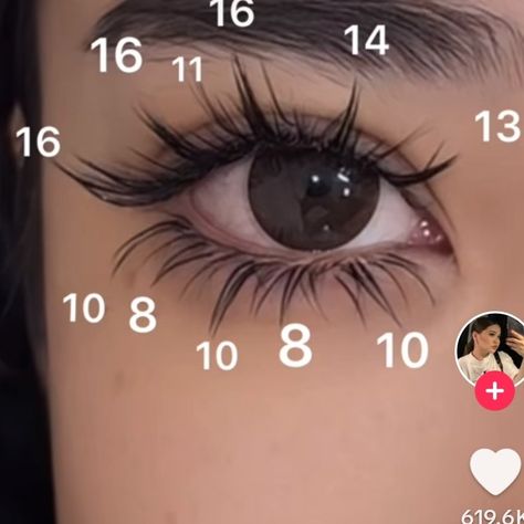 Rabbit Style Eyelashes, Manga Lashes Lash Map, False Eyelashes Aesthetic, Eyelash Extensions Styles With Mapping, Manga Lash Extension Map, Manhwa Eyelashes, Doll Extensions, Manga Lash Map, Manga Eyelashes Extensions