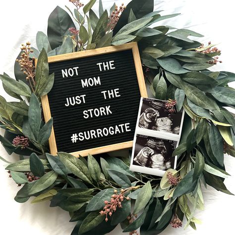 Not the mom just the stork Surrogate Announcement Photo Ideas, Surrogacy Gifts For Intended Parents, Surrogacy Announcement Ideas, Surrogate Mother Quotes, Surrogate Announcement, Surrogate Pregnancy Announcement, Surrogacy Pregnancy Announcement, Surrogacy Photography, Surrogacy Announcement