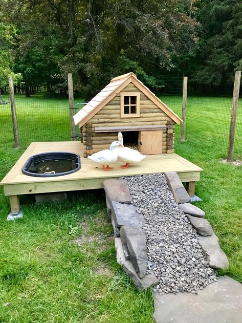 Backyard Ducks, Backyard Animals, Cute Chicken Coops, Chicken Coop Garden, Duck Coop, Backyard Chicken Coop Plans, Backyard Chicken Farming, Duck House, Coop Design