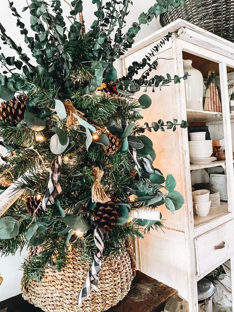 Rustic Eucalyptus Christmas Tree | Roost + Restore Australian Christmas Tree Ideas, Eucalyptus Christmas Tree, Eucalyptus Christmas Garland, Eucalyptus Christmas Decor, Christmas Greenery Decor, Australian Christmas Tree, Eucalyptus Christmas, Tree Fillers, Green Christmas Tree Decorations