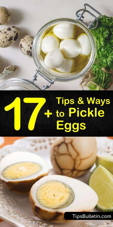 Pickled Hard Boiled Eggs, Dill Pickled Eggs Recipe, Pickled Egg Recipes Easy, How To Pickle Eggs Recipes Hard Boiled, Pickled Eggs Old Fashioned, How To Pickle Eggs, Mustard Pickled Eggs Recipe, German Pickled Eggs, Pickled Quail Eggs Recipe