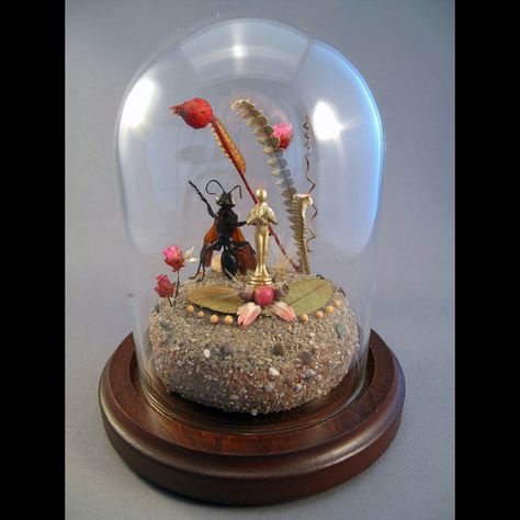 cute Oscar Award insect taxidermy Entomology Decor, Green Beetle, Insect Taxidermy, Taxidermy Art, Jar Art, Bug Art, The Bell Jar, Insect Art, Glass Dome