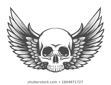 Skull With Wings Tattoo, Skull Wings Tattoo, Drawn Wings, Wings Human, Skull With Wings, Printable Tattoos, Skull Reference, Skull Wings, Tattoo Lettering Design