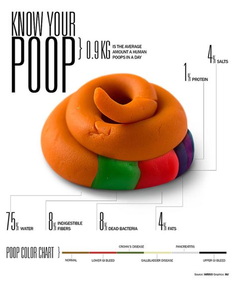 shit infographic Data Visualization, Infographic Design, Just In Case, Health Tips, Knowing You, Healthy Living, Disease, Health And Wellness, Fun Facts