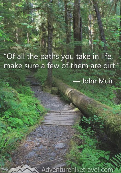 “Of all the paths you take in life, make sure a few of them are dirt.” – John Muir John Muir Quotes Nature, Wilderness Quotes, Plant Quotes, Path Quotes, Environmental Quotes, Park Quotes, Muir Beach, Nature Quotes Adventure, John Muir Quotes