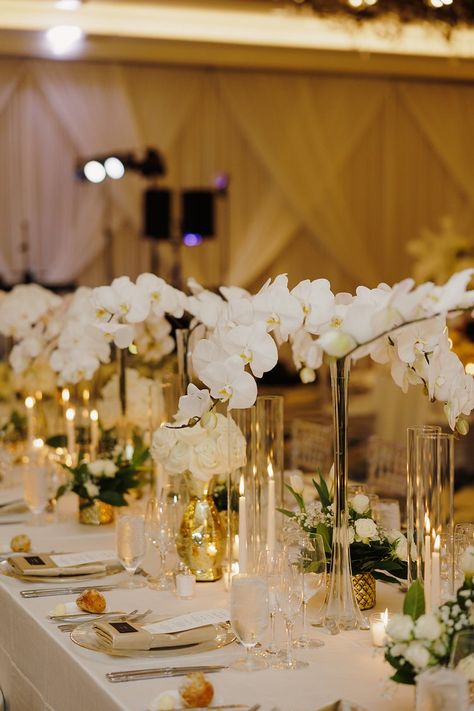 Bluegrass Chic | Timeless Luxury Wedding at The Ritz Carlton Orlando orchid centerpiece Orchid Decoration Wedding, Orchid Arrangements Wedding, Orchid Table Centerpiece, Orchid Wedding Decor, Orchid Wedding Centerpieces, Submerged Flower Centerpiece, Orchids Arrangements, White Orchid Centerpiece, Orchid Centerpieces Wedding