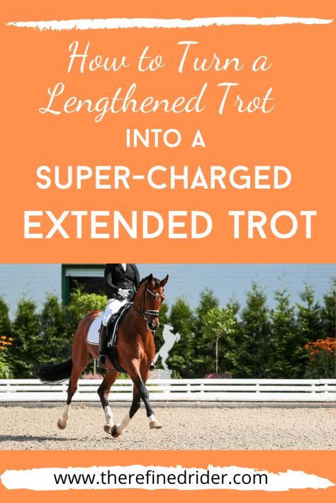 How to Create an Extended Trot - The Refined Rider Dressage Exercises, Horseback Riding Tips, Horse Behavior, Equestrian Dressage, Horse Lessons, Dressage Training, Riding Tips, Horse Exercises, Horse Info