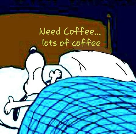 Need #coffee... lots of coffee. ☕️ Goodnight Snoopy, Funny Good Morning, Snoopy Cartoon, Good Morning Quotes For Him, Morning Quotes For Him, Snoopy Funny, Snoopy Images, Funny Good Morning Quotes, Peanuts Cartoon